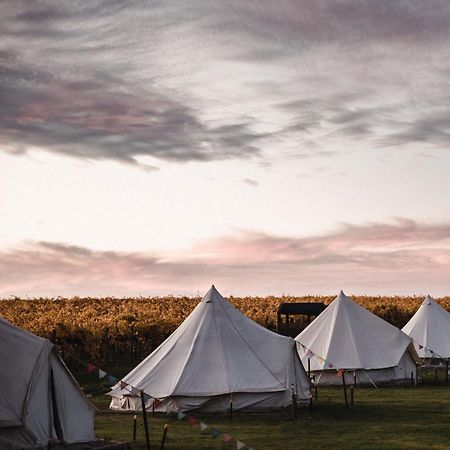 Coonawarra Bush Holiday Park Buitenkant foto