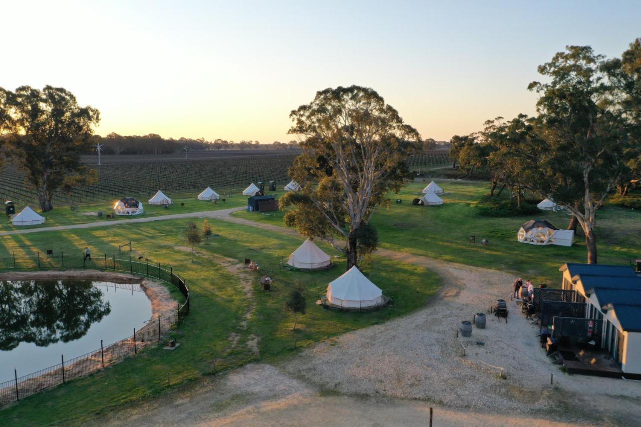 Coonawarra Bush Holiday Park Buitenkant foto