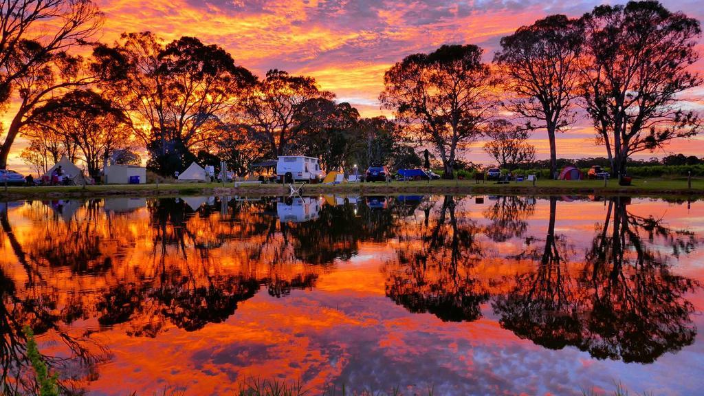 Coonawarra Bush Holiday Park Buitenkant foto